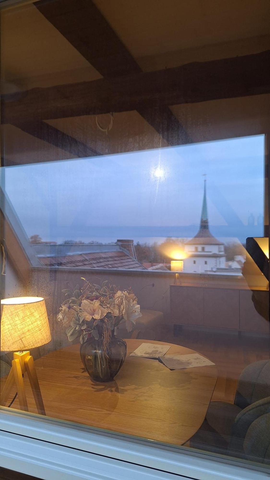 Stadtpalais Bellevue-Suite 3- Zimmer- Maisonettewohnung Mit Dachterrasse Maximal 4 Personen Bautzen Luaran gambar